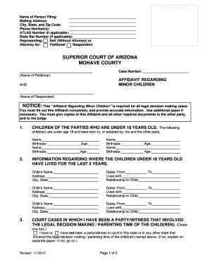 Affidavit Regarding Minor Children