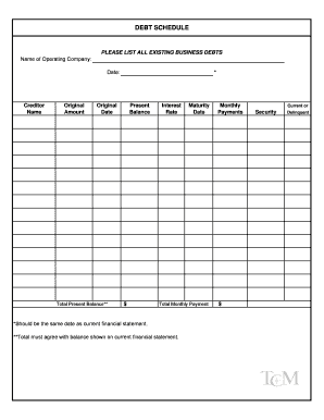 Debt Schedule Form