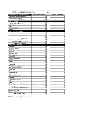 Profit and Loss Statement Template