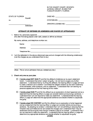 Affidavit of Defense for Traffic Infraction