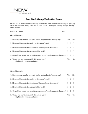 Peer Work Group Evaluation Form