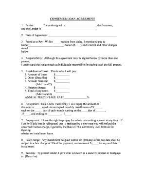 Consumer Loan Agreement