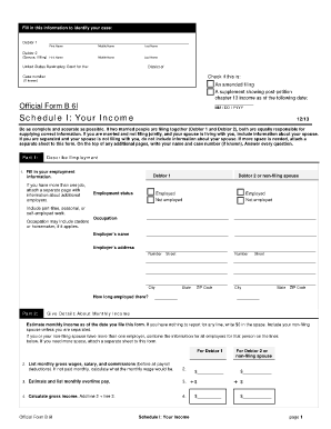 US Bankruptcy Court Income Form
