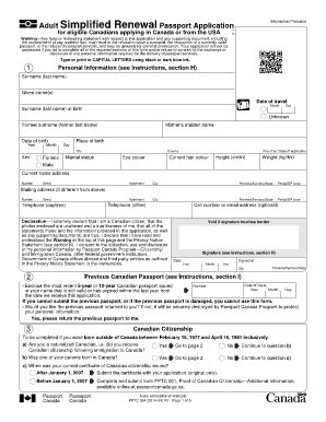 Example of passport application - Renewal Passport Application