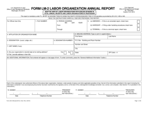 US Labor Organization Annual Report Form LM-2