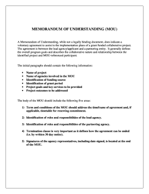 Memorandum of Understanding Template