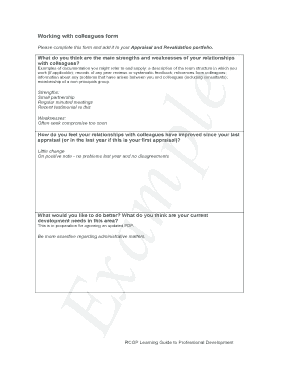 Colleague Relationships Appraisal Form