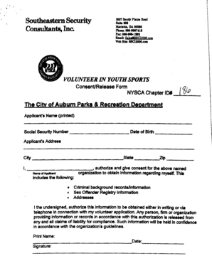 Youth Sports Volunteer Consent Form