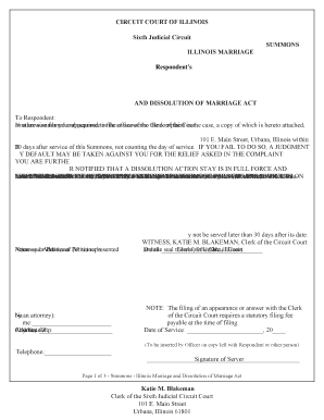 Illinois Marriage Dissolution Summons
