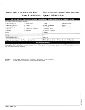 New York Appellate Division Form B