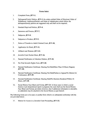 Juvenile Court Complaint Form JUV-2