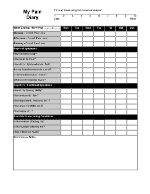 Pain Diary Form
