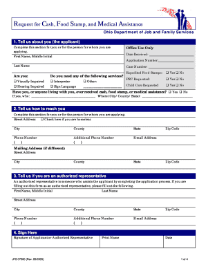 Ohio Cash, Food Stamp, and Medical Assistance Application