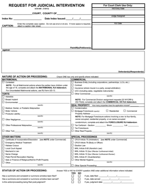 Request for Judicial Intervention Form