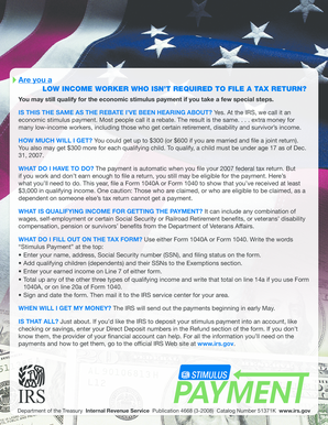 IRS Economic Stimulus Payment Form