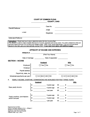 Affidavit of Income and Expenses