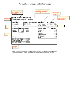 pay stub pdf