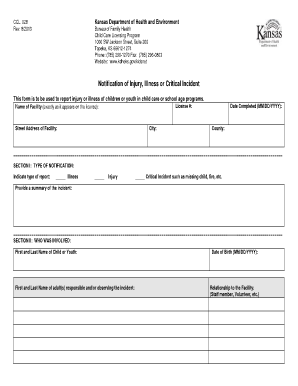 Kansas Child Care Injury Illness Report
