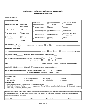 Incident Information Form
