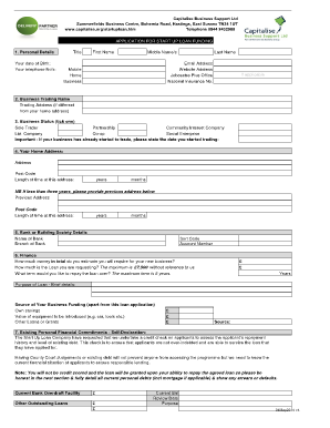 UK Start Up Loan Application Form