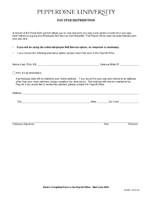 Pay Stub Issuance Form