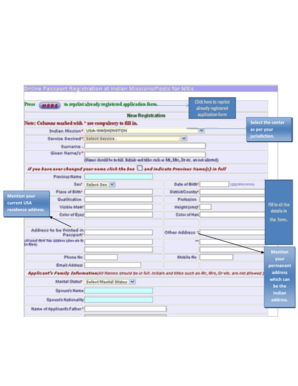Indian Visa Application Form