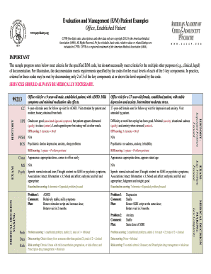 Evaluation and Management (E/M) Patient Examples Office ...