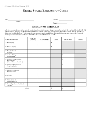 US Bankruptcy Court Form 6 Summary