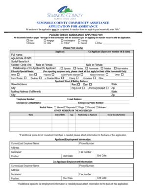 Seminole County Community Assistance Application