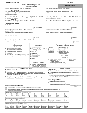 US Bankruptcy Court Voluntary Petition