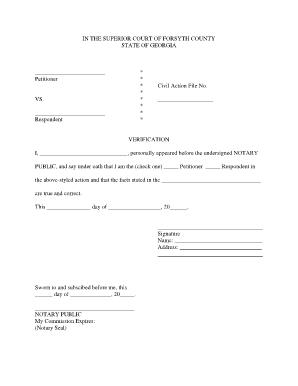 Georgia Civil Action Verification Form