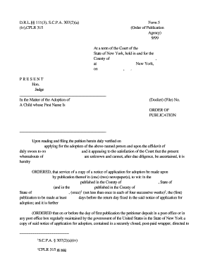 New York Order of Publication for Adoption