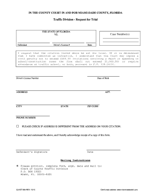 Florida Traffic Division Request for Trial