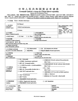 China Visa Application Form