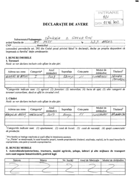Romanian Asset Declaration Form