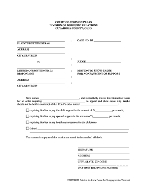 Motion to Show Cause for Nonpayment of Support