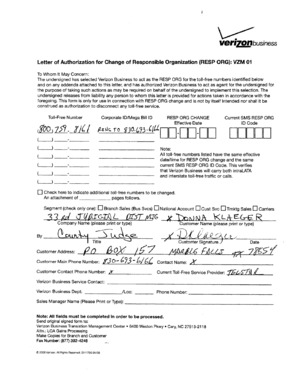 Letter of Authorization for Change of Responsible Organization