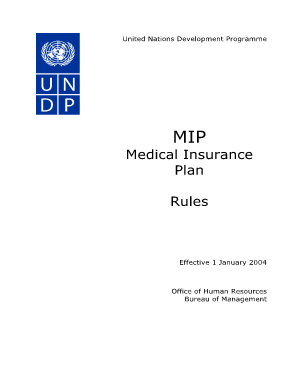 (MIP) Rules - SAS - UNDP - sas undp