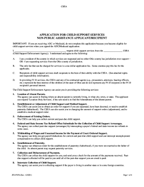 Ohio Child Support Services Application