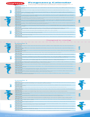 18 Printable Pregnancy Calendar Forms and Templates - Fillable Samples ...