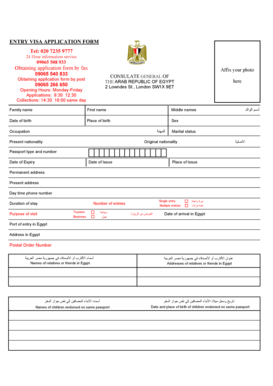 Egypt Entry Visa Application Form