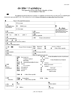 China Visa Application Form