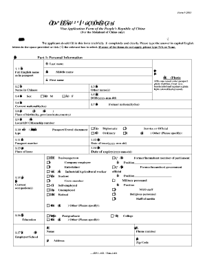 China Visa Application Form