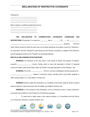 Florida Declaration of Restrictive Covenants