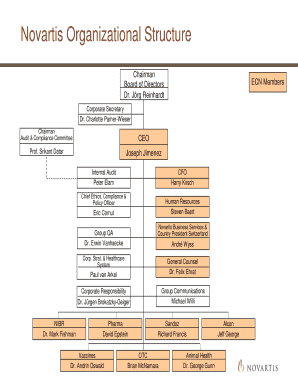 Novartis organizational chart