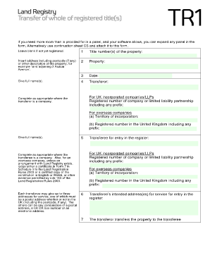 Form preview picture