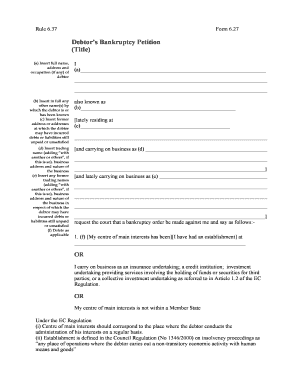 Debtor’s Bankruptcy Petition