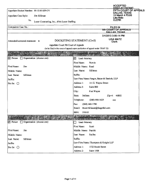 Texas Appellate Docketing Statement