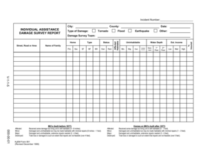 Damage Survey Report