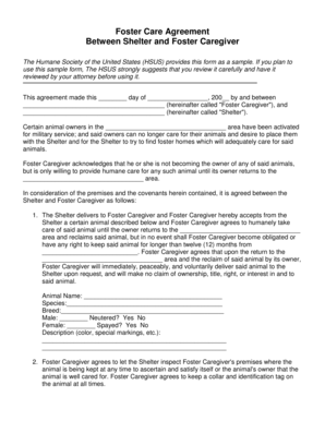 Foster Care Agreement